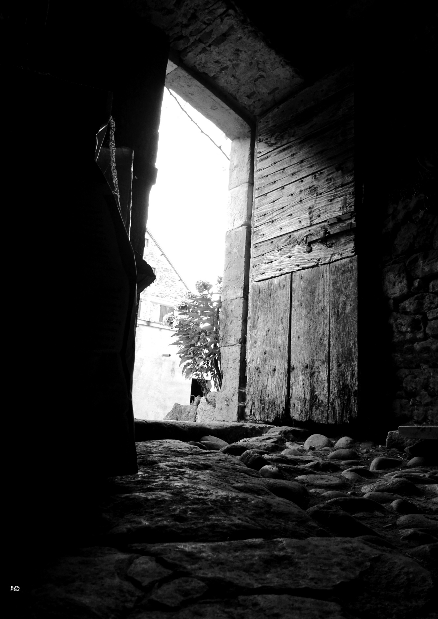 Site Philippe Dorthe
