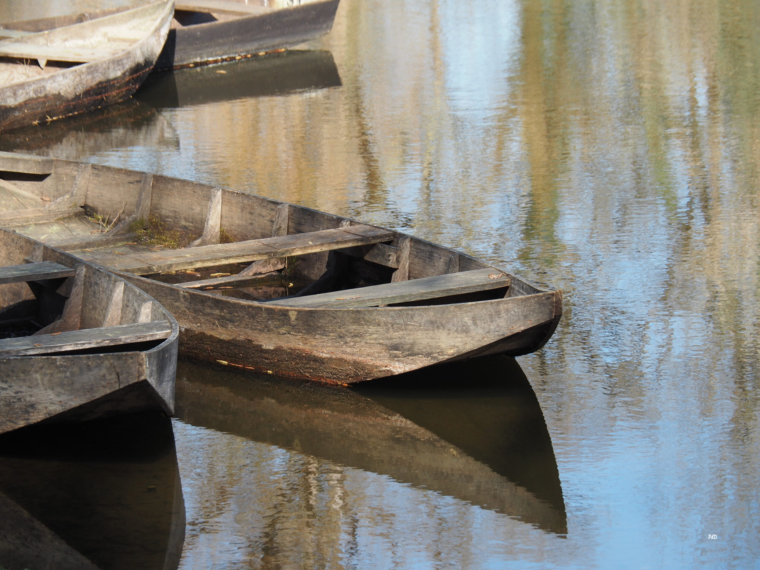 Roland PLAGNE le faiseur de barques.