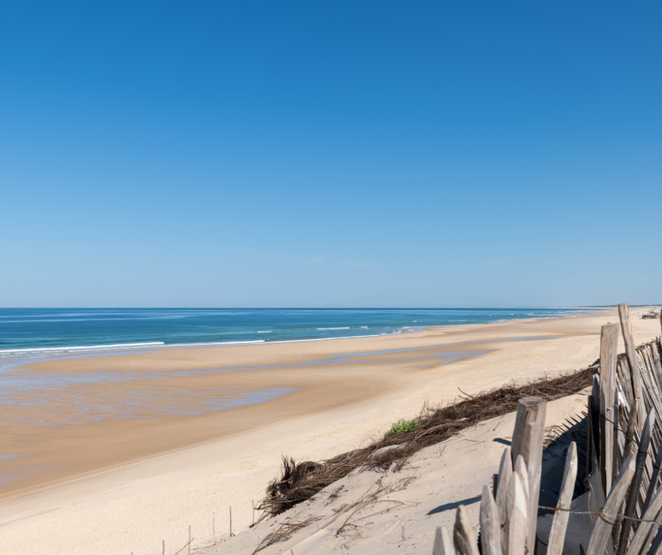 Bientôt les vacances, mais pas pour tous !