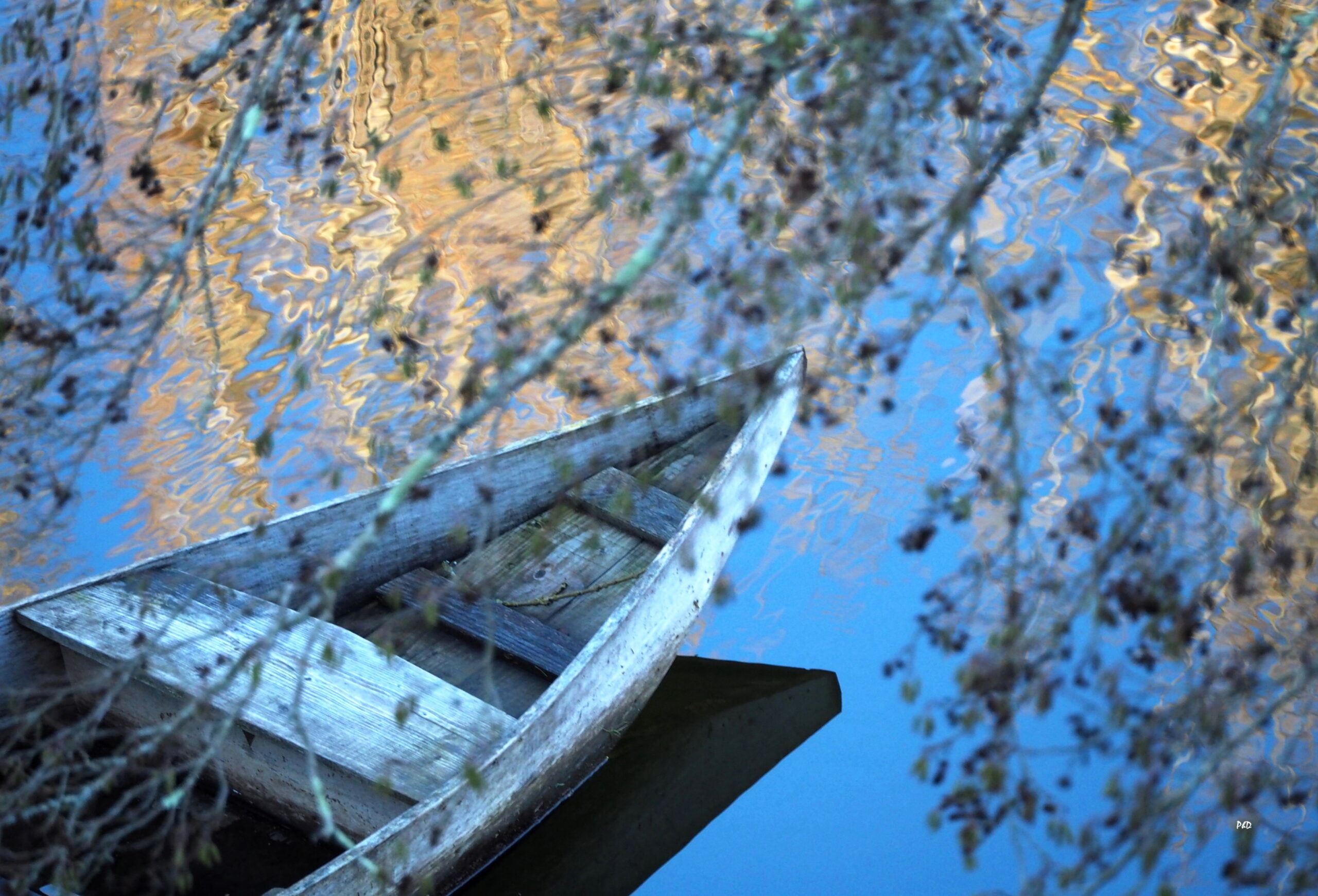 Exposition de photographies à Carennac (Lot) du 08 au 14 août – Jean-Pierre Caussil et Philippe Dorthe